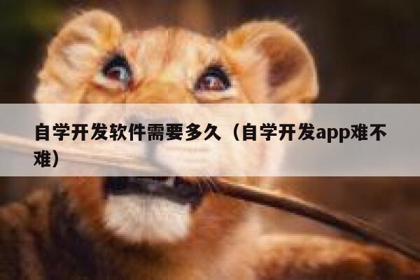 自学开发软件需要多久(自学开发app难不难) 第1张 自学开发软件需要多久(自学开发app难不难) 第1张