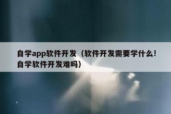 自学app软件开发(软件开发需要学什么!自学软件开发难吗) 第1张 自学app软件开发(软件开发需要学什么!自学软件开发难吗) 第1张