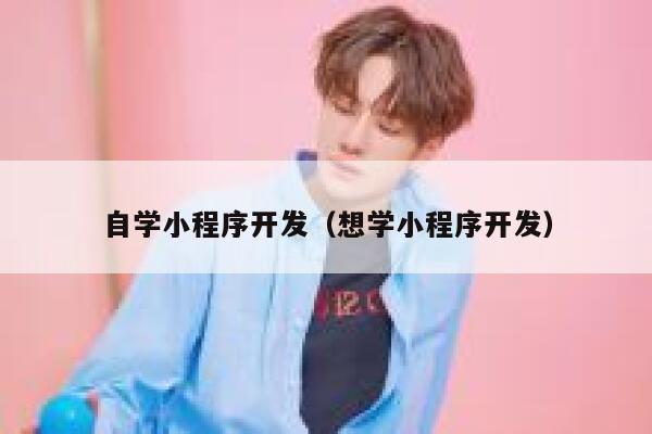 自学小程序开发（想学小程序开发） 第1张