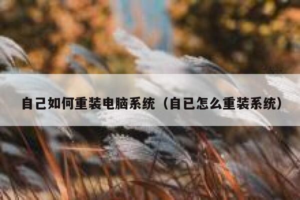 自己如何重装电脑系统(自已怎么重装系统) 第1张 自己如何重装电脑系统(自已怎么重装系统) 第1张