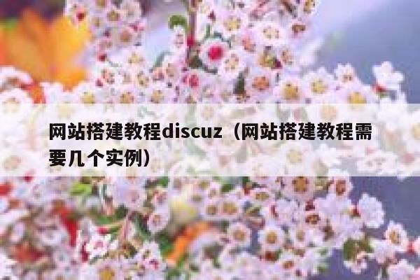 网站搭建教程discuz(网站搭建教程需要几个实例) 第1张 网站搭建教程discuz(网站搭建教程需要几个实例) 第1张