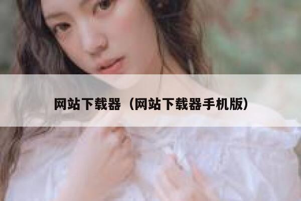 网站下载器(网站下载器手机版) 第1张 网站下载器(网站下载器手机版) 第1张