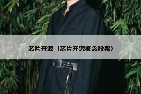 芯片开源(芯片开源概念股票) 第1张 芯片开源(芯片开源概念股票) 第1张