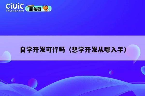 自学开发可行吗(想学开发从哪入手) 第1张 自学开发可行吗(想学开发从哪入手) 第1张