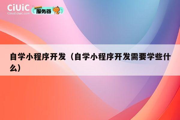 自学小程序开发(自学小程序开发需要学些什么) 第1张 自学小程序开发(自学小程序开发需要学些什么) 第1张