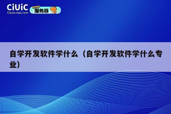 自学开发软件学什么(自学开发软件学什么专业) 第1张 自学开发软件学什么(自学开发软件学什么专业) 第1张