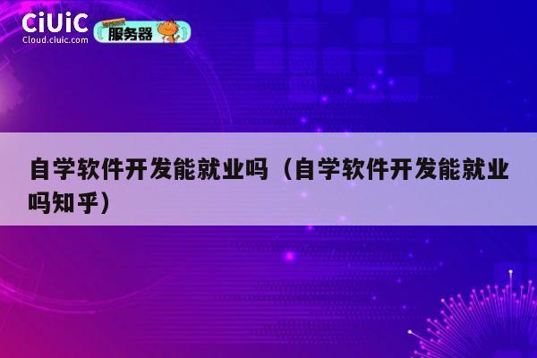 自学软件开发能就业吗（自学软件开发能就业吗知乎） 第1张
