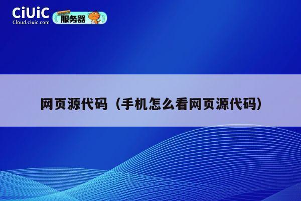 网页源代码（手机怎么看网页源代码） 第1张
