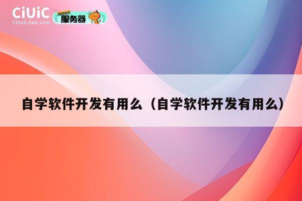 自学软件开发有用么(自学软件开发有用么) 第1张 自学软件开发有用么(自学软件开发有用么) 第1张