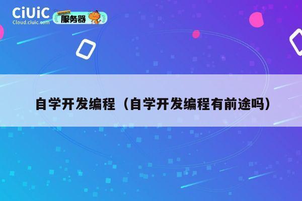 自学开发编程(自学开发编程有前途吗) 第1张 自学开发编程(自学开发编程有前途吗) 第1张