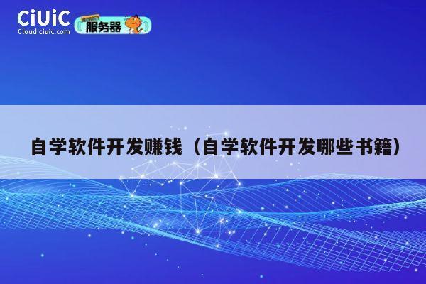 自学软件开发赚钱(自学软件开发哪些书籍) 第1张 自学软件开发赚钱(自学软件开发哪些书籍) 第1张