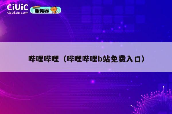 哔哩哔哩（哔哩哔哩b站免费入口） 第1张