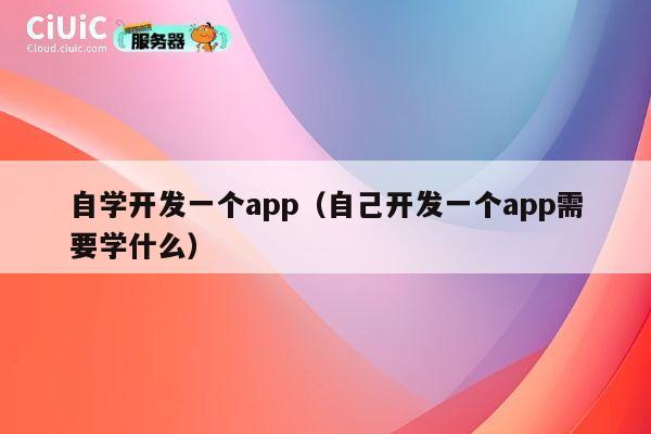 自学开发一个app(自己开发一个app需要学什么) 第1张 自学开发一个app(自己开发一个app需要学什么) 第1张